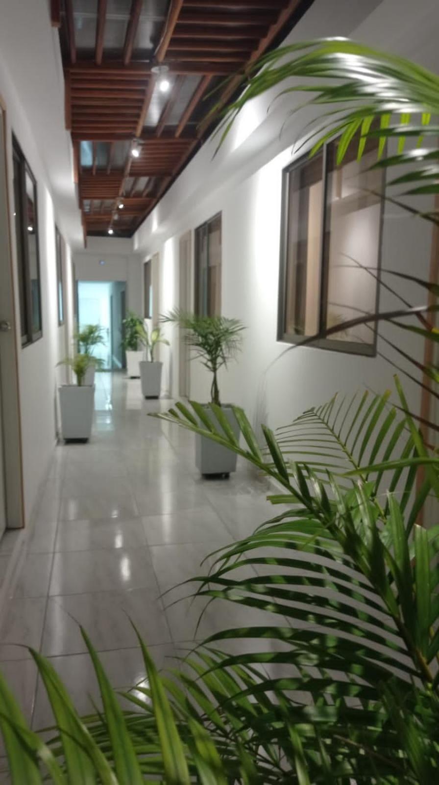 Casa Encanto Manga